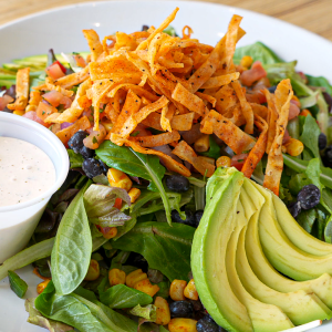 Spring mix, roasted corn, black beans, pico de gallo, avocado, crispy tortilla strips, and chipotle ranch dressing. **contains egg, soy, dairy, may contain fish, wheat**